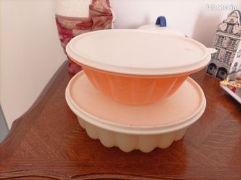 Lot 2 moules Tupperware