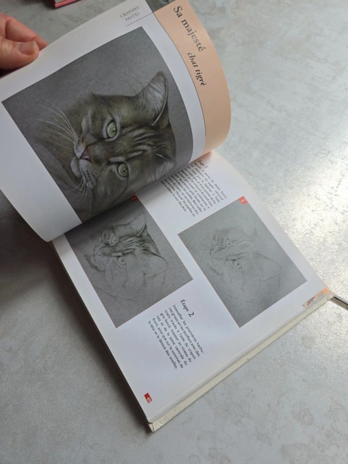 Dessiner des animaux #orianabllivre - photo numéro 5