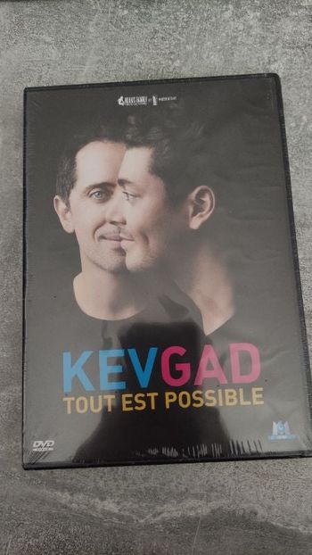 DVD Kev Adams Gad Elmaleh Tout est possible