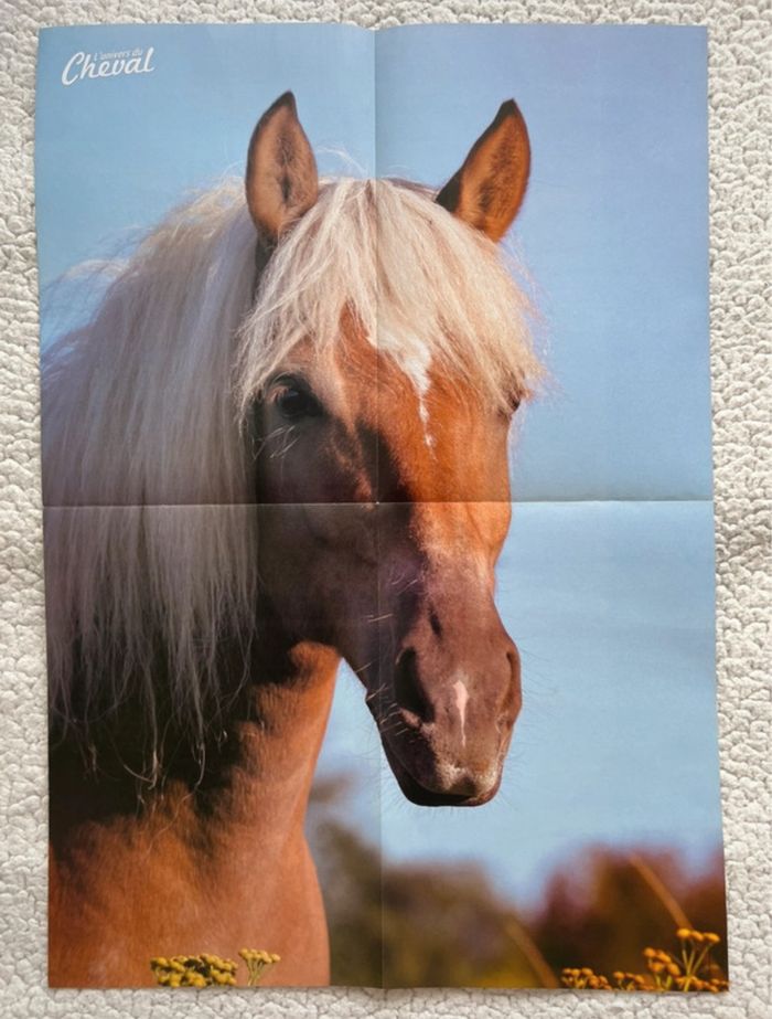 Magazine + 3 posters l’univers du cheval - photo numéro 10
