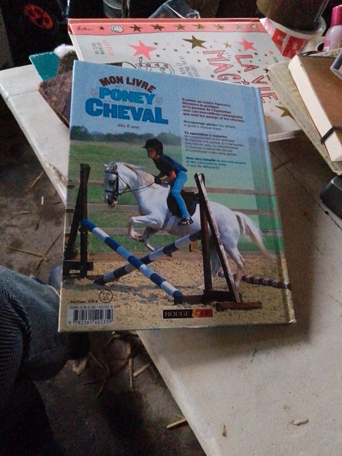 Grand livre cheval/poney enfants NEUF - photo numéro 4