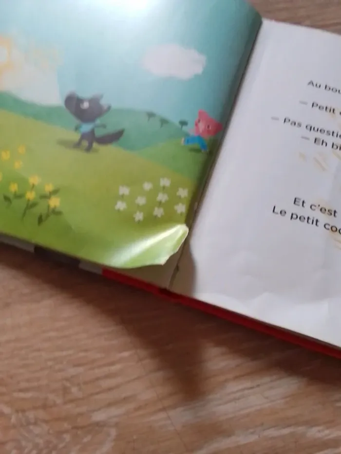 Les trois petits cochons - photo numéro 14
