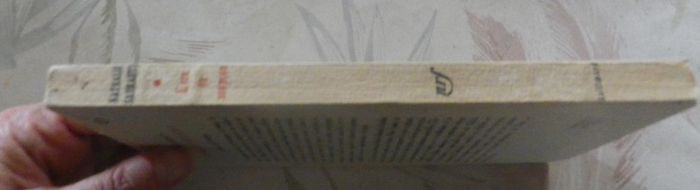 L'Ere du soupçon Essais sur le roman par Nathalie Sarraute - photo numéro 3