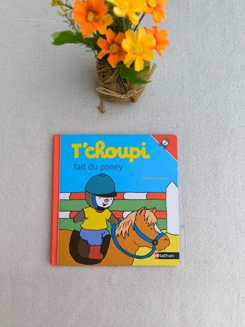 Livre T'choupi n°45