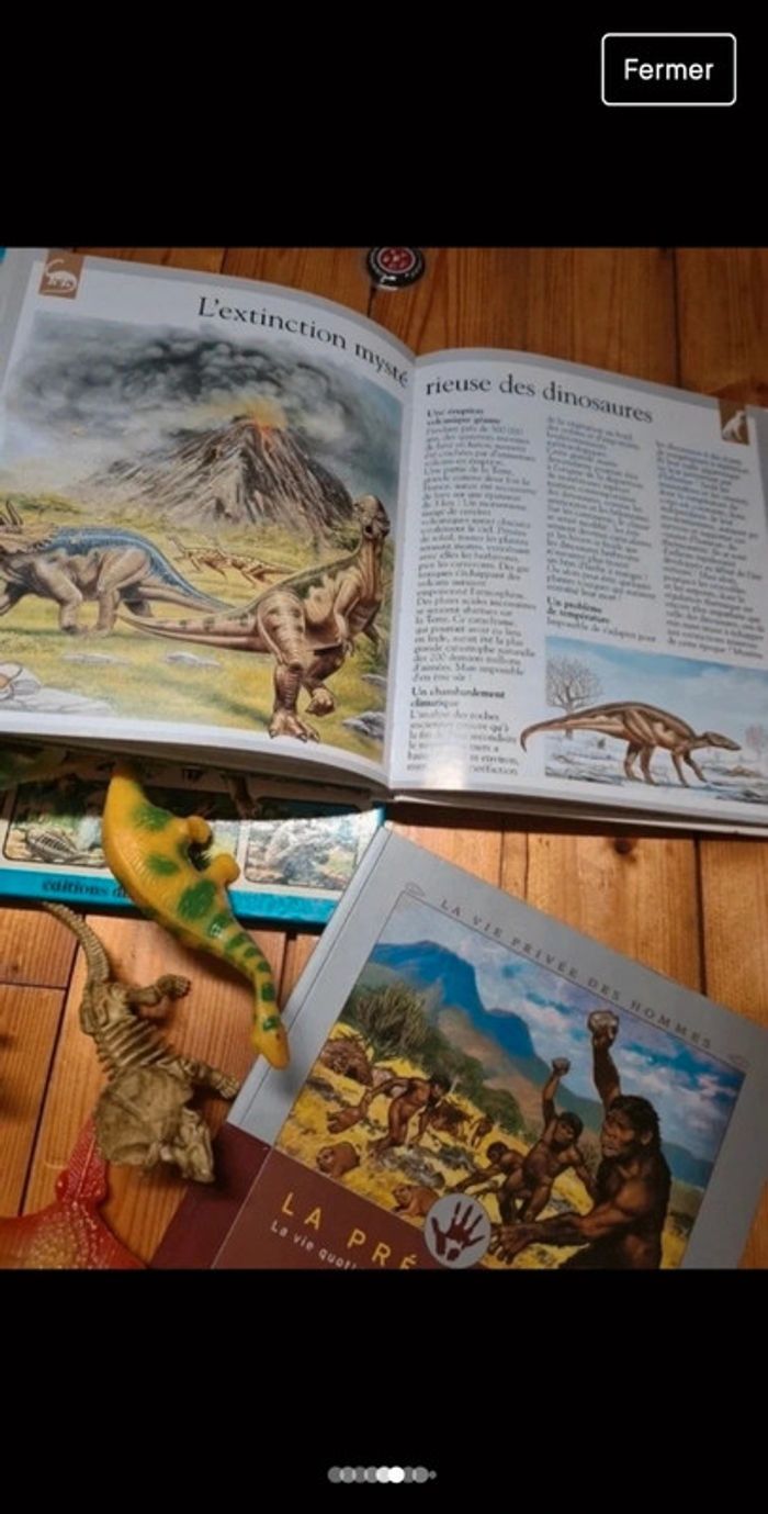 Lot livres découverte préhistoire - photo numéro 4