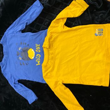 Lot de 2 tee-shirts manches longues