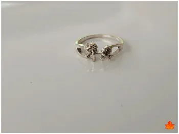 Bague cheval en acier inoxydable