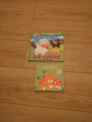 Lot 2 livres
