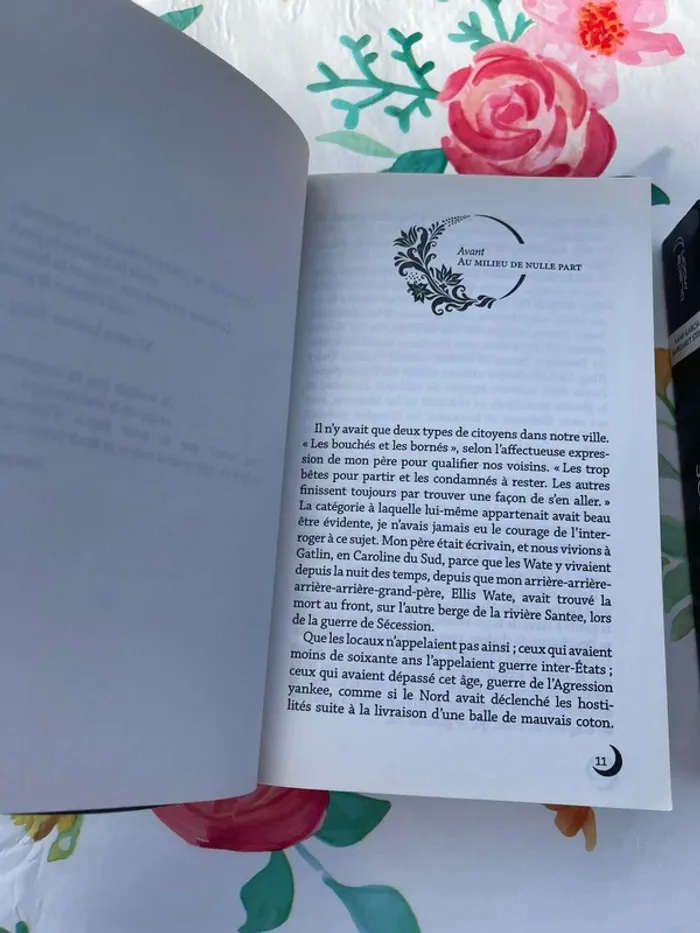 Sublimes Créatures – Tomes 1 & 2 - photo numéro 3