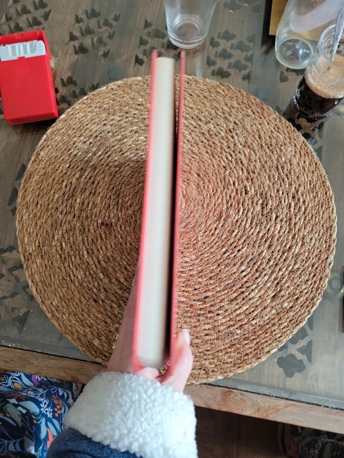 L Agenda du Petit Nicolas 2008 - photo numéro 6