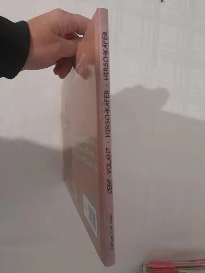 Livre trilingue français/allemand/alsacien l aventure du cerf volant - photo numéro 3
