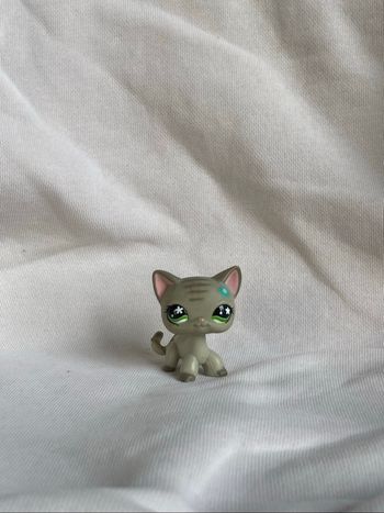 lps chat européen