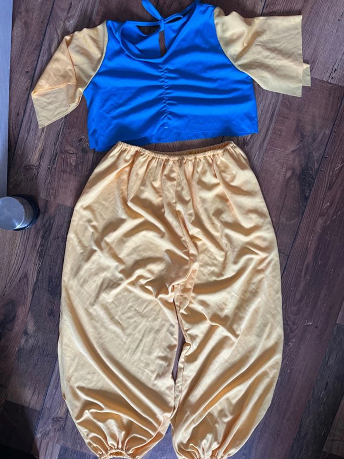 Déguisement Jasmine mille et une nuits 5-7 ans