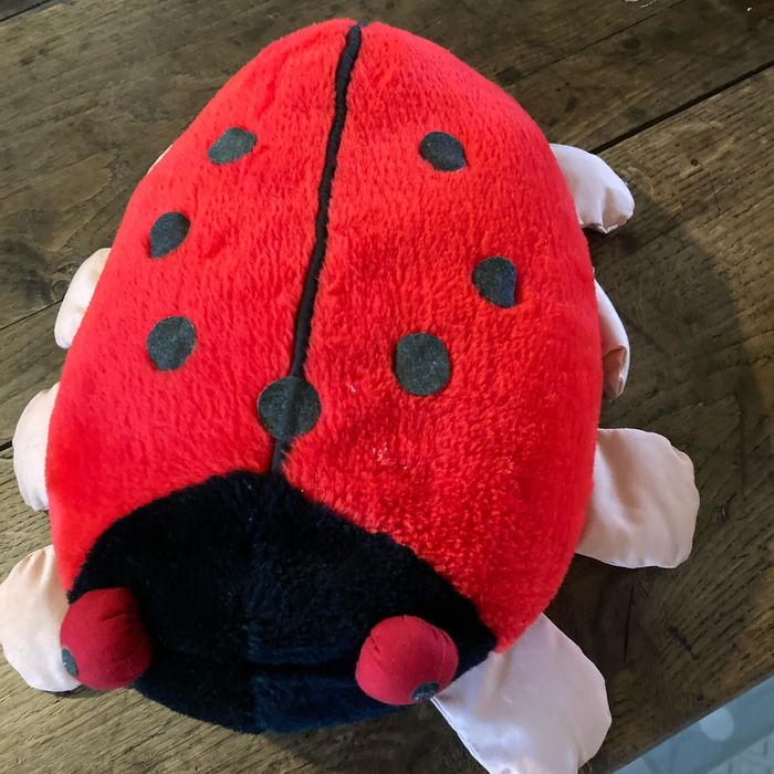Peluche coccinelle