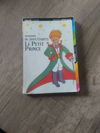 Le petit prince 🤴🏼