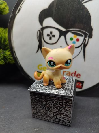 Lps01177 My Littlest Petshop Pet Shop LPS Authentic  cat Shorthair European 816