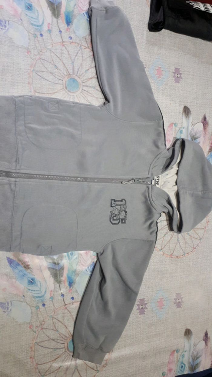 Gilet gris - photo numéro 2