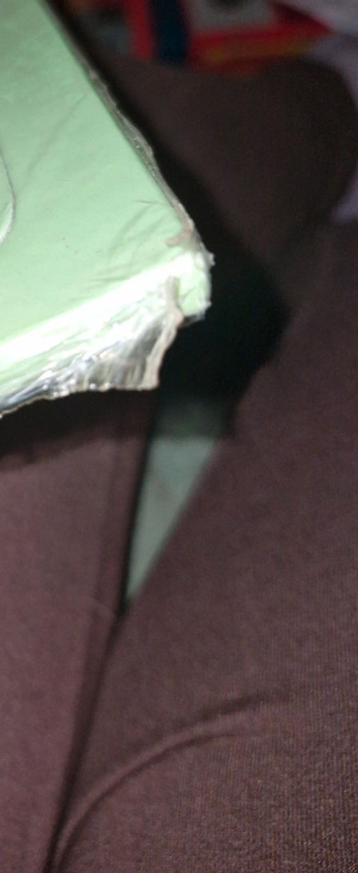 Puzzle Fievel et le nouveau monde - photo numéro 6