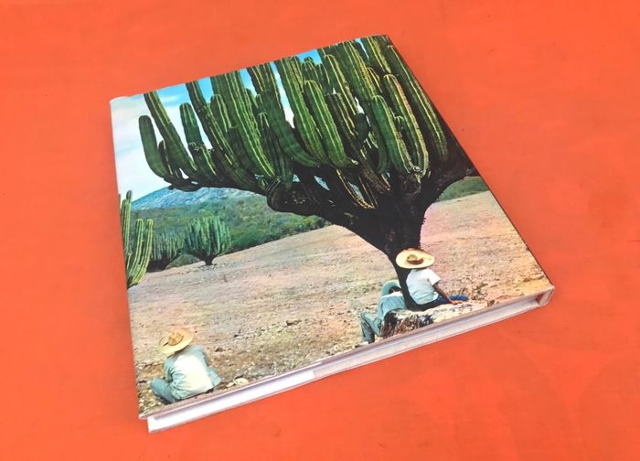 Max-Pol Fouchet Le Mexique que j' aime  Photographié par Arpad Elfer - photo numéro 10