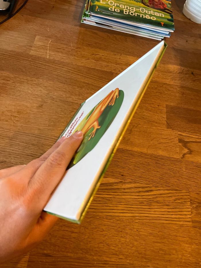 Livre Altaya Le monde des animaux Sauvages Animaux de la forêt La grenouille de Madagascar - photo numéro 6
