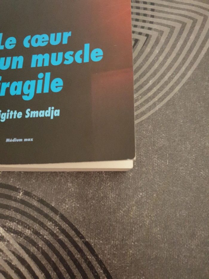 Le cœur est un muscle fragile - photo numéro 4