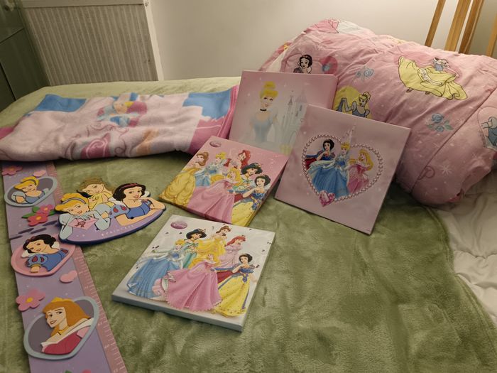 Princesse disney