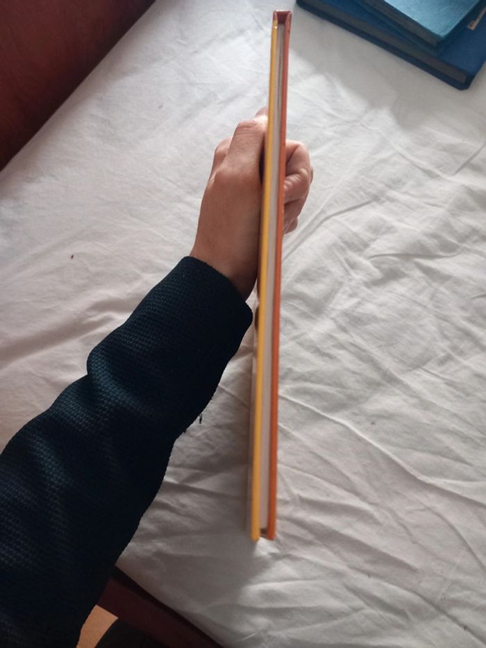 Alerte sur Ooxia - photo numéro 6