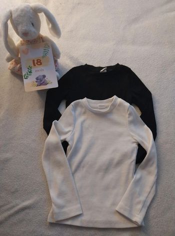 Lot 2 t-shirt 18 mois 
