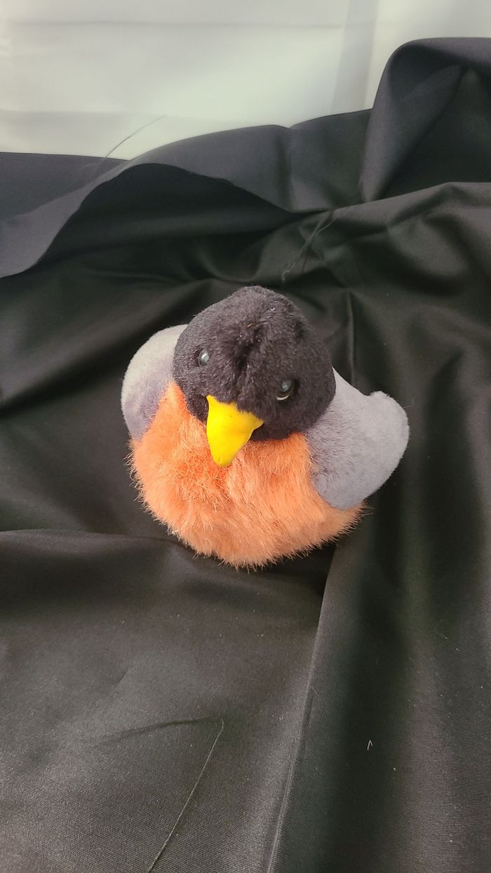 Appel d'oiseau en peluche K&M International 2001 Animal en peluche 5" sans son