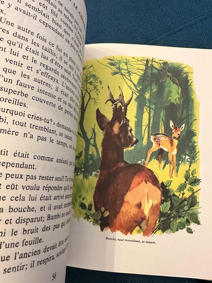 1979 Livre ancien Bambi le Chevreuil Félix Salten Pierre Probst La Galaxie - photo numéro 9