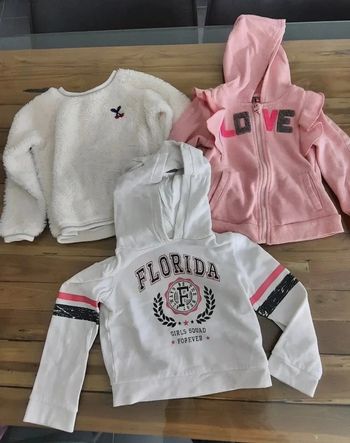 Lot 3 Pulls sweats vestes