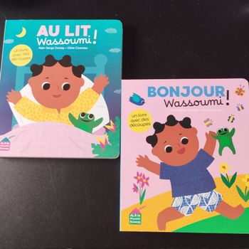 Lot 2 livres Wassoumi neuf Albin Michel Jeunesse
