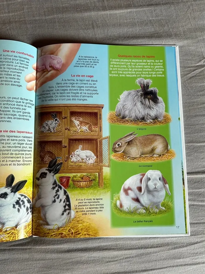 Livre les animaux de la ferme - photo numéro 4