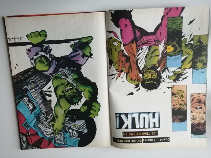 l'incroyable hulk - photo numéro 2