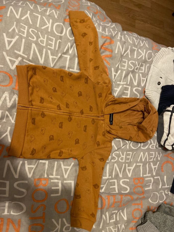 Gilets - photo numéro 4