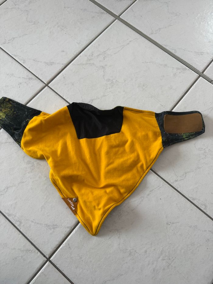 Bandeau - photo numéro 2