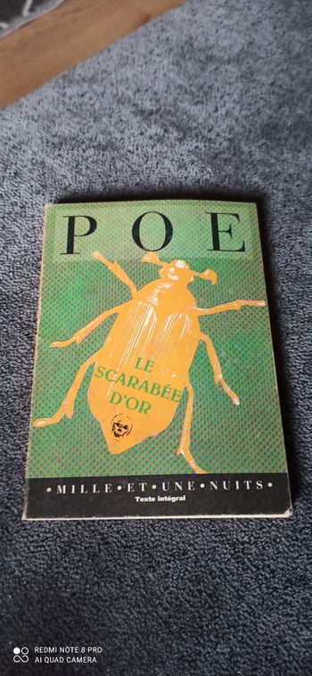 Livre le scarabee d or