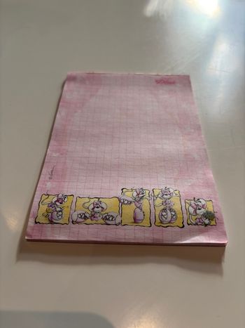 Bloc notes quadrillé Diddl rose avec frise Diddlina ballerine 