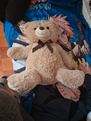 Énorme nounours