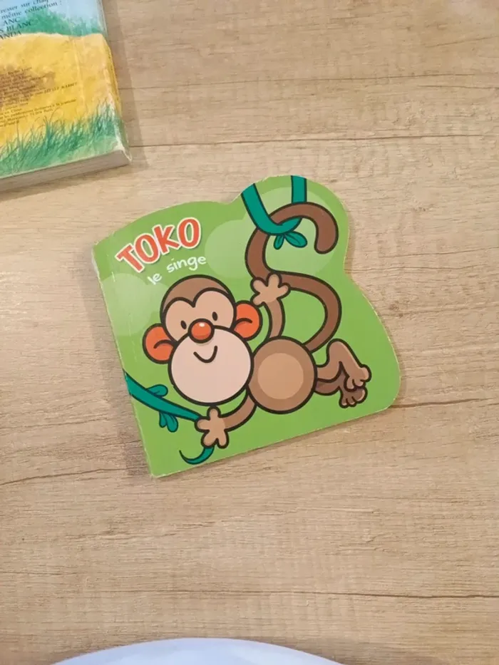 Toko le singe