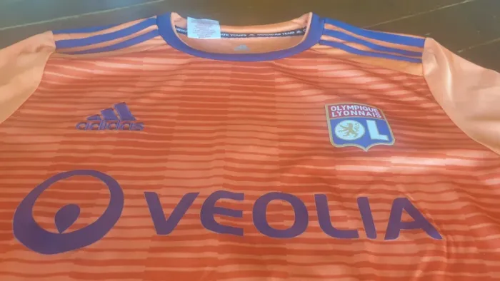 Maillot foot OL - third 2018 / 2019 - Le Sommer 9 - Féminine - photo numéro 2