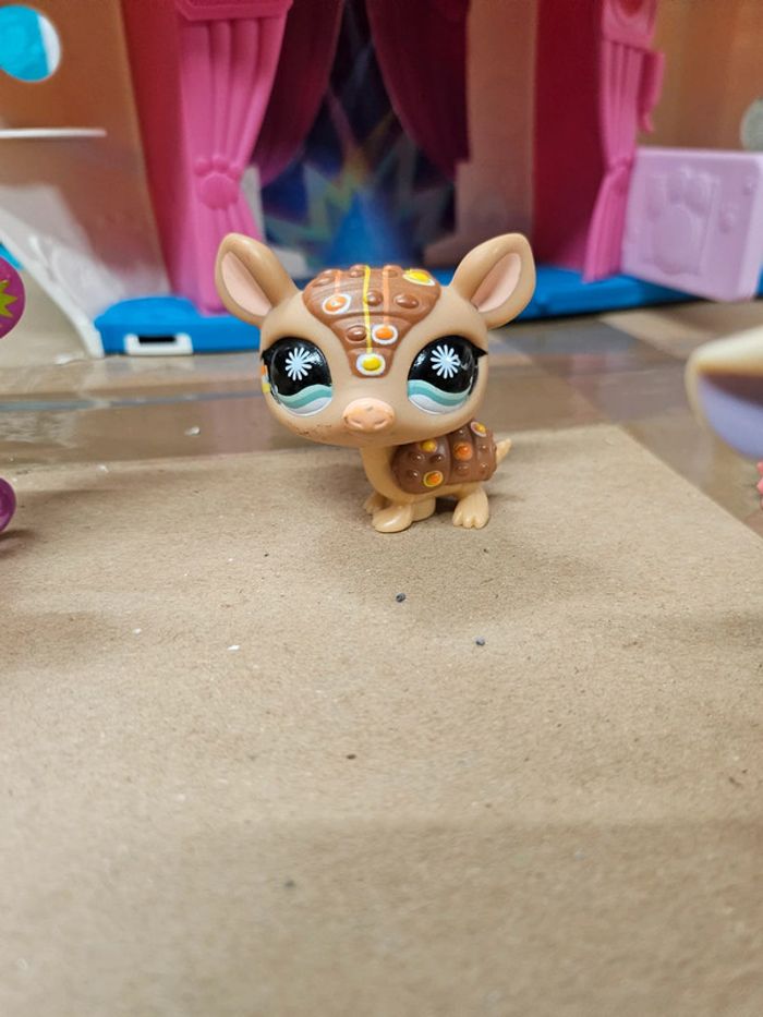 Pet shop rare tatou 1007