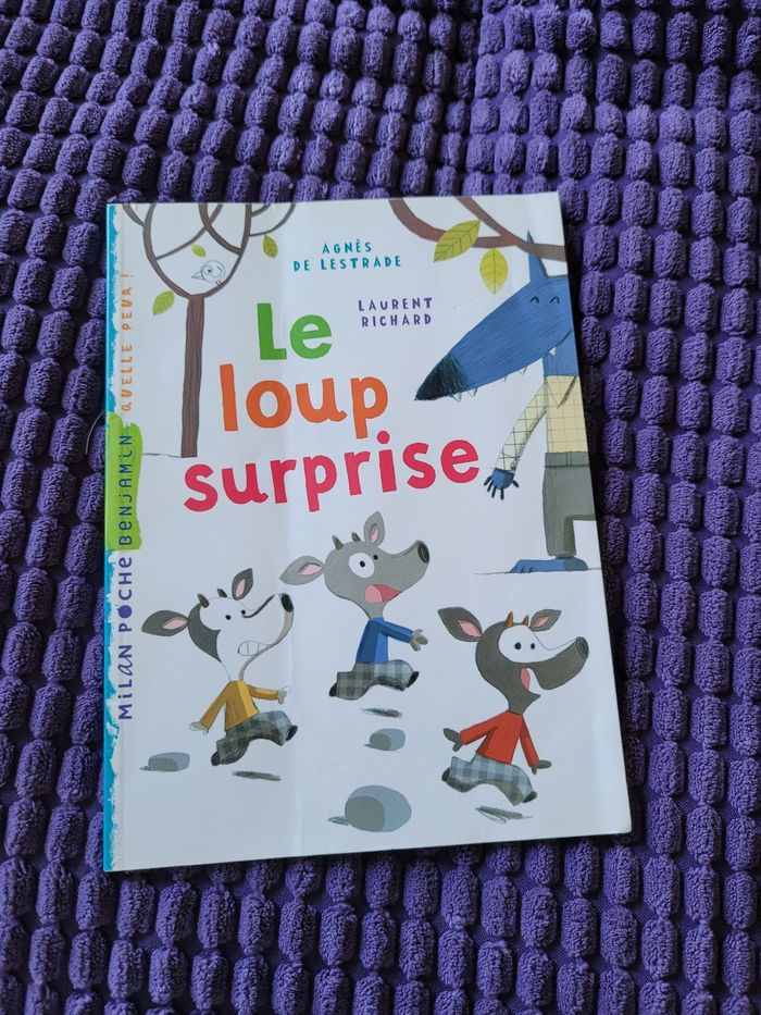 livre le loup surprise (2e)