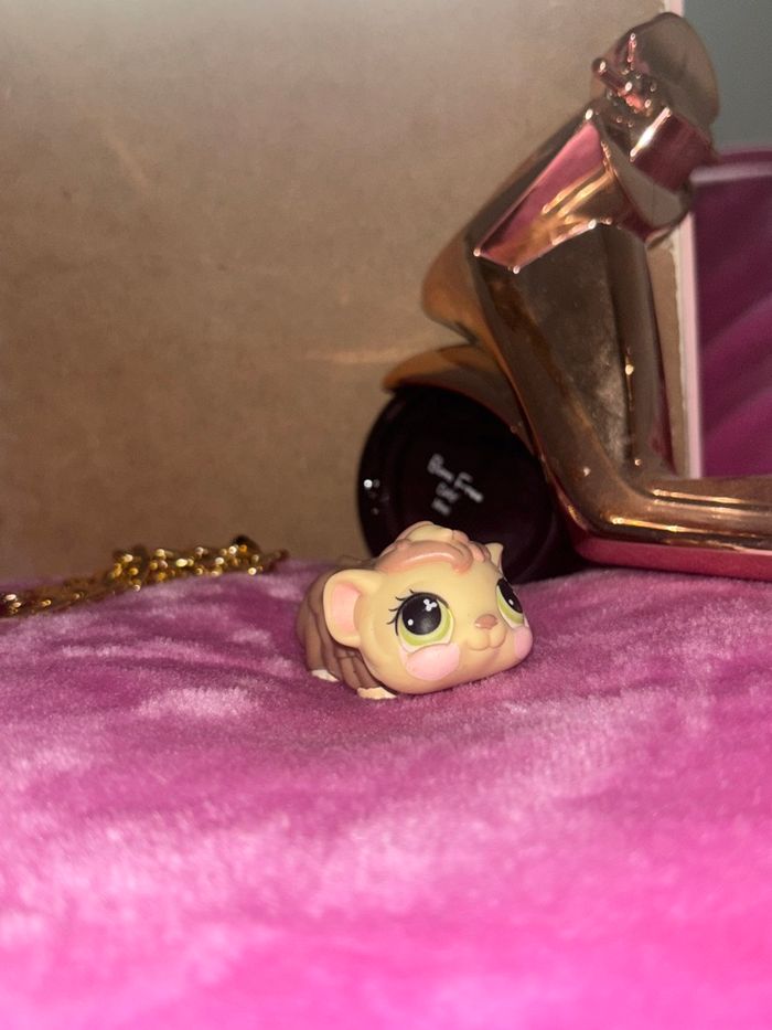 guinea pig #494 - photo numéro 3