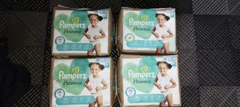 Couches Pampers harmonie taille 5