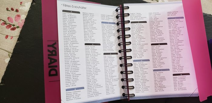 Lot de 2 agendas Diary 2023/2024 - photo numéro 8