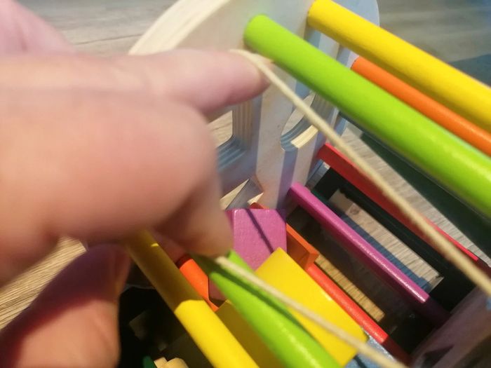 Tortue à formes - photo numéro 3