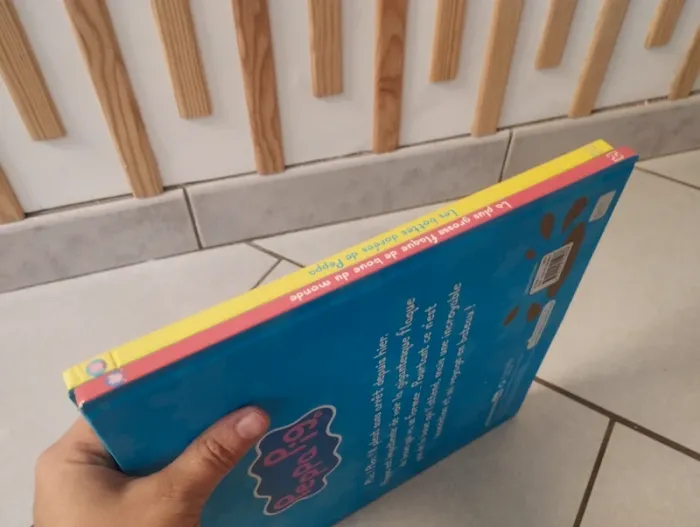 Lot livres Peppa pig (grand format) - photo numéro 7