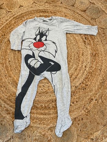 Pyjama Looney tunes