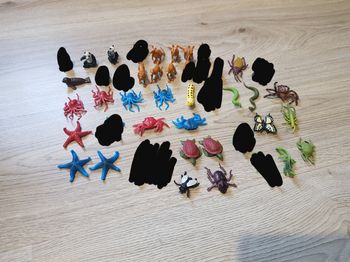 Figurines nature explorer